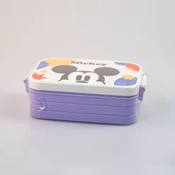 Best Bento Box: Disney 100 Storage Box & Organizer